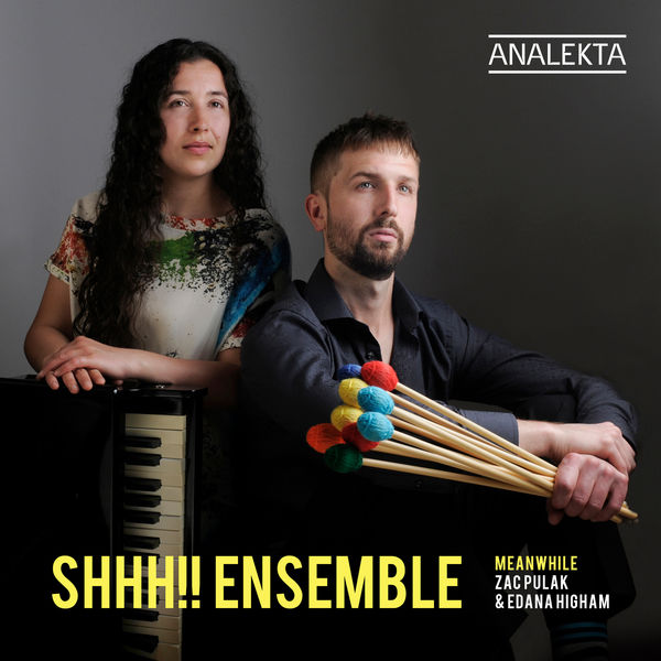 SHHH!! Ensemble - Meanwhile (2022) [FLAC 24bit/96kHz] Download