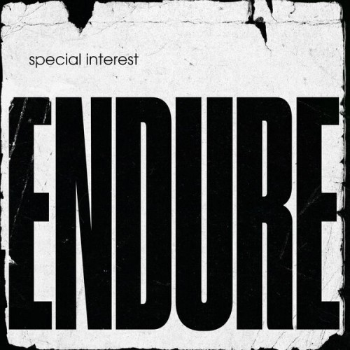 Special Interest – Endure (2022) [FLAC 24 bit, 96 kHz]