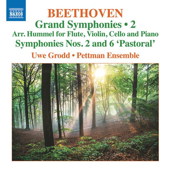 Uwe Grodd, Pettman Ensemble - Beethoven: Grand Symphonies, Vol. 2 (2022) [FLAC 24bit/96kHz] Download