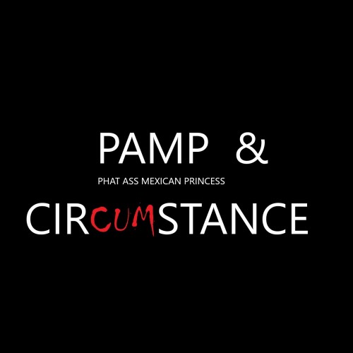 El Fucko – PAMP & CIRCUMSTANCE (2021) [FLAC 24 bit, 96 kHz]