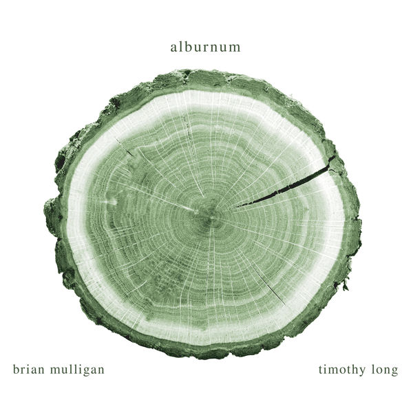 Brian Mulligan, Timothy Long - Alburnum (2022) [FLAC 24bit/48kHz] Download