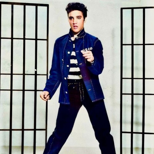 Elvis Presley – Jailhouse Rock (2020) [FLAC 24 bit, 96 kHz]