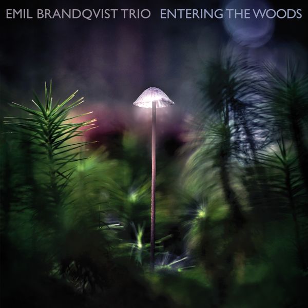 Emil Brandqvist Trio – Entering the Woods (2020) [Official Digital Download 24bit/96kHz]