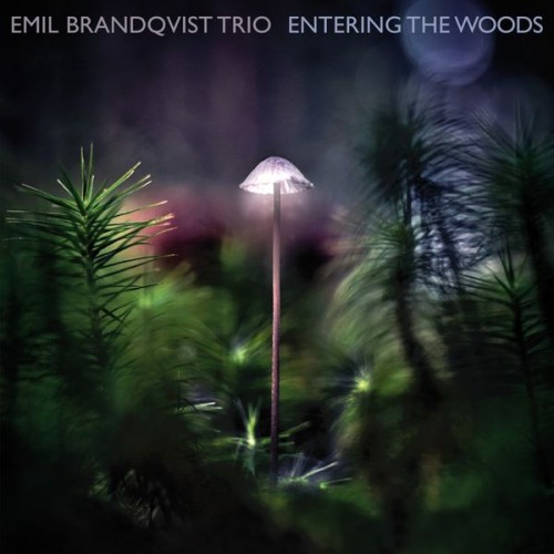 Emil Brandqvist Trio – Entering the Woods (2020) [FLAC 24 bit, 96 kHz]