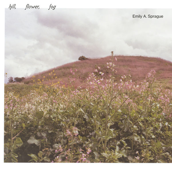 Emily A. Sprague – Hill, Flower, Fog (2020) [Official Digital Download 24bit/44,1kHz]