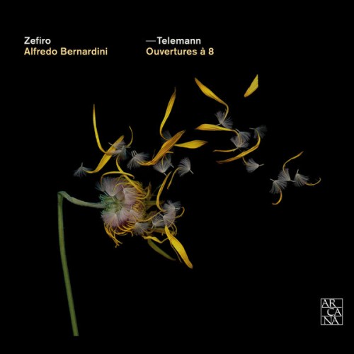 Zefiro Baroque Orchestra, Alfredo Bernardini – Telemann: Ouvertures à 8 (2013) [FLAC 24 bit, 44,1 kHz]