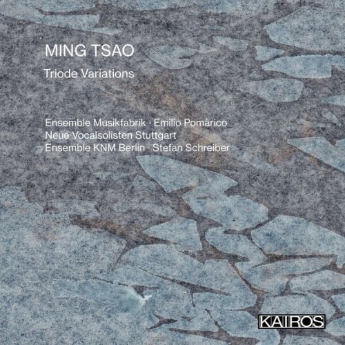 Ensemble musikFabrik – Ming Tsao: Triode Variations (2022) [FLAC 24 bit, 96 kHz]