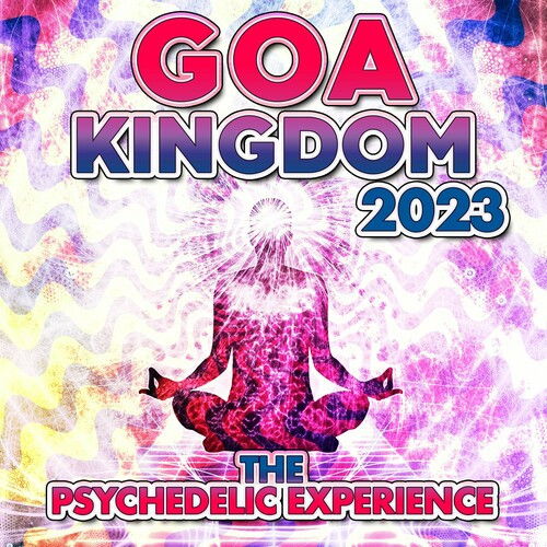 Various Artists - Goa Kingdom 2023 - the Psychedelic Experience (2022) MP3 320kbps Download