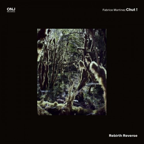 Fabrice Martinez Chut! – Rebirth Reverse (2018) [FLAC 24 bit, 88,2 kHz]