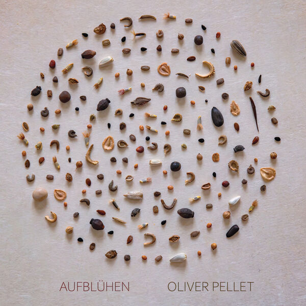 Oliver Pellet - Aufblühen (2022) [FLAC 24bit/96kHz] Download