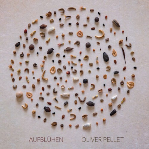 🎵 Oliver Pellet – Aufblühen (2022) [FLAC 24-96]