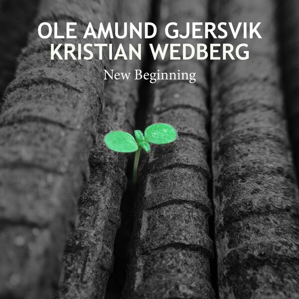 Ole Amund Gjersvik, Kristian Wedberg - New Beginning (2023) [FLAC 24bit/44,1kHz]