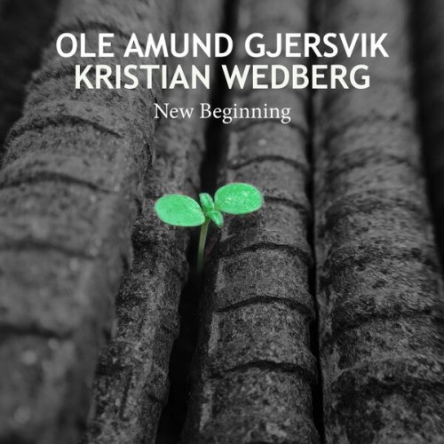🎵 Ole Amund Gjersvik, Kristian Wedberg – New Beginning (2023) [FLAC 24-44.1]