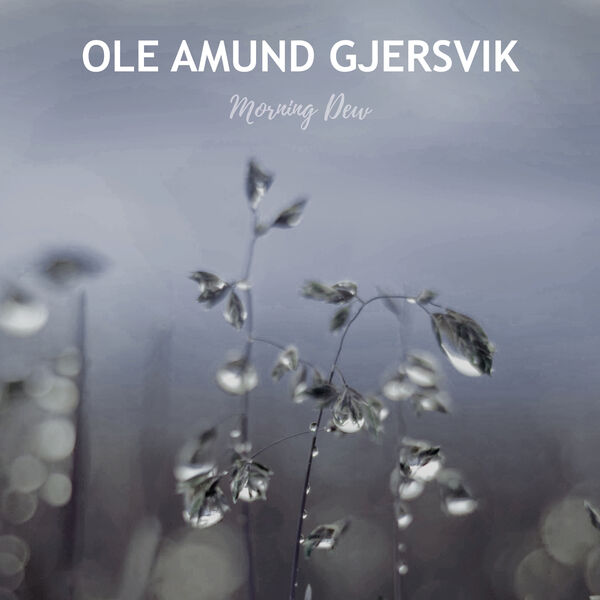 Ole Amund Gjersvik - Morning Dew (2022) [FLAC 24bit/44,1kHz]