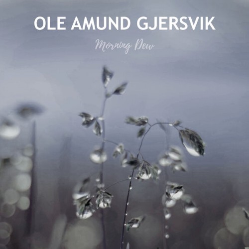 Ole Amund Gjersvik – Morning Dew (2022) [FLAC, 24 bit, 44,1 kHz]
