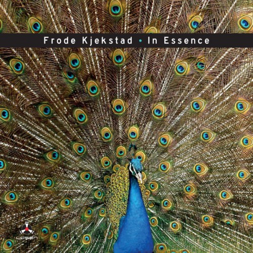 Frode Kjekstad – In Essence (2019) [FLAC 24 bit, 48 kHz]