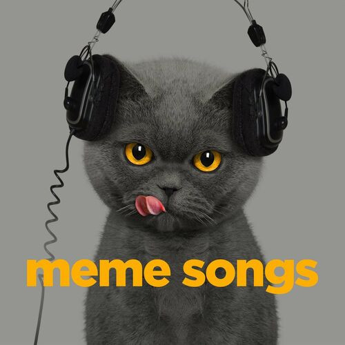 Various-Artists---meme-songs056b90bdc8dfaab8.jpg