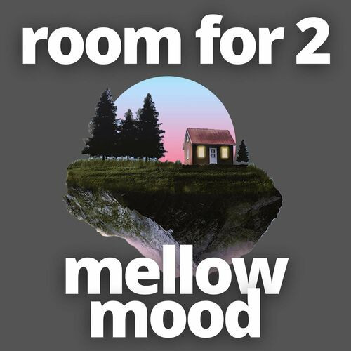 Various-Artists---room-for-2---mellow-moodc219cf01a34f3c57.jpg