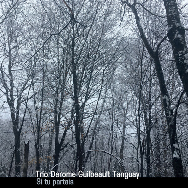 Trio Derome Guilbeault Tanguay – Si tu partais (2023) [FLAC 24bit/48kHz]