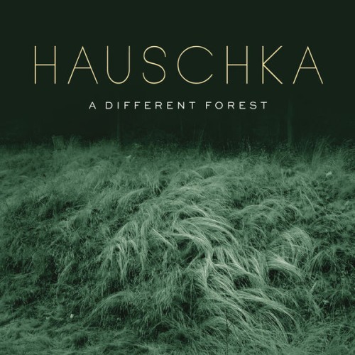 Hauschka – A Different Forest (2019) [FLAC 24 bit, 48 kHz]