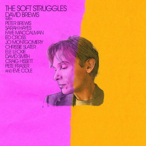 David Brewis - The Soft Struggles (2023) 24bit FLAC Download