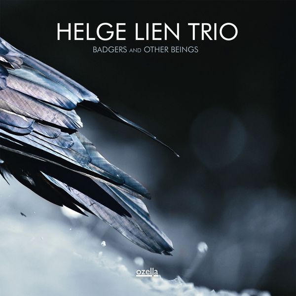 Helge Lien Trio – Badgers And Other Beings (2014) [Official Digital Download 24bit/96kHz]