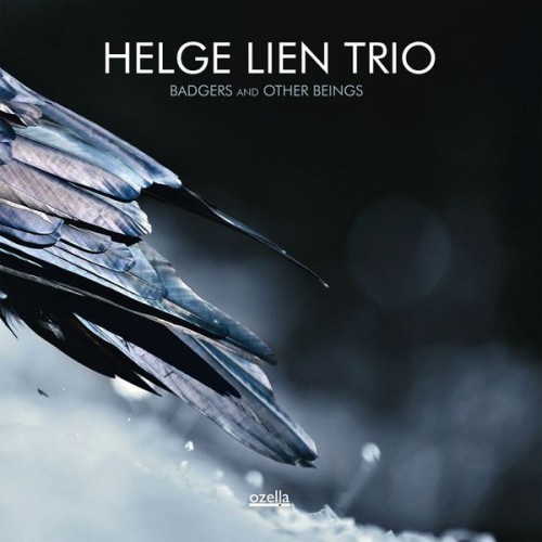 Helge Lien Trio – Badgers And Other Beings (2014) [FLAC 24 bit, 96 kHz]