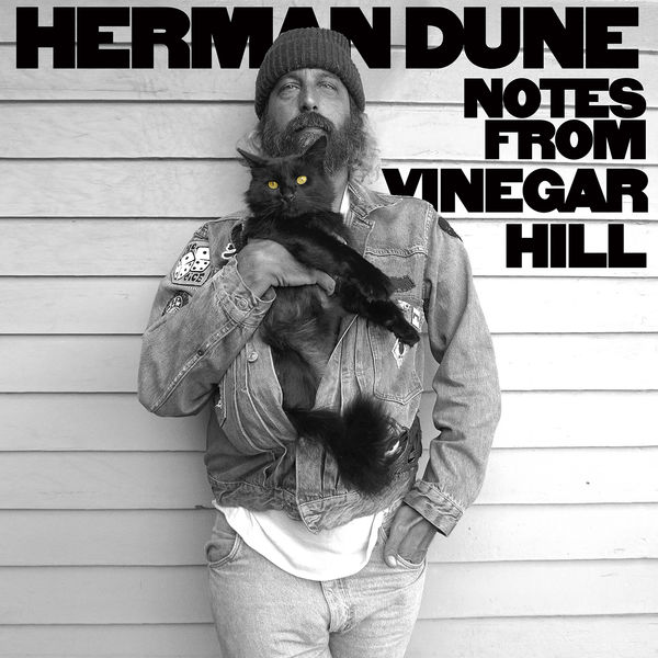 Herman Düne – Notes from Vinegar Hill (2020) [Official Digital Download 24bit/44,1kHz]