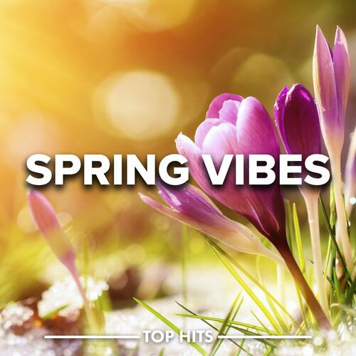 Various Artists – Spring Vibes 2023 (2023) MP3 320kbps