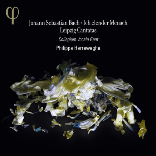 Collegium Vocale Gent, Philippe Herreweghe – J.S. Bach – Ich elender Mensch: Leipzig Cantatas (2014) [FLAC 24 bit, 96 kHz]