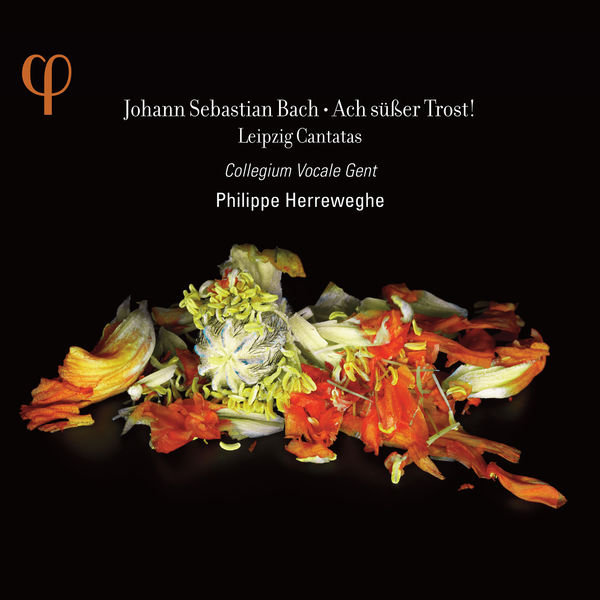 Collegium Vocale Gent, Philippe Herreweghe – Johann Sebastian Bach – Ach süßer Trost ! (2012) [Official Digital Download 24bit/88,2kHz]