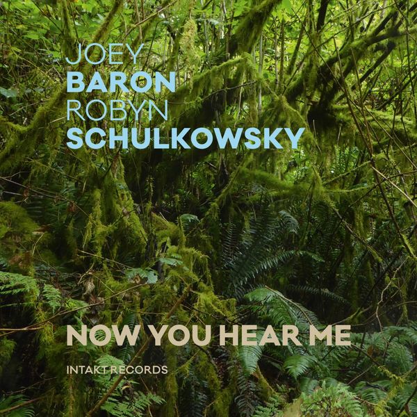 Joey Baron, Robyn Schulkowsky – Now You Hear Me (2018) [Official Digital Download 24bit/96kHz]