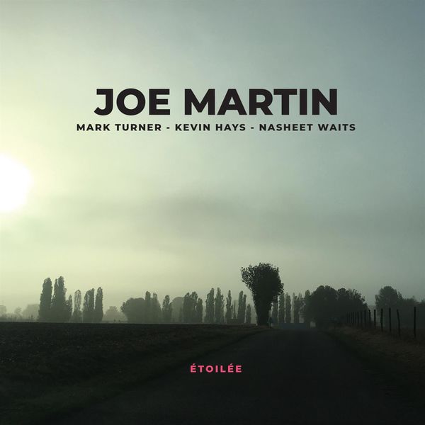 Joe Martin – Étoilée (2019) [Official Digital Download 24bit/96kHz]