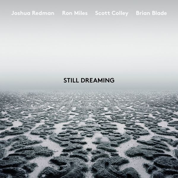 Joshua Redman – Still Dreaming (feat. Ron Miles, Scott Colley & Brian Blade) (2018) [Official Digital Download 24bit/96kHz]