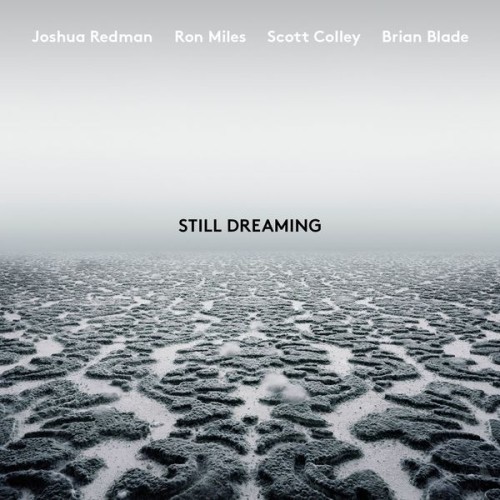 Joshua Redman – Still Dreaming (feat. Ron Miles, Scott Colley & Brian Blade) (2018) [FLAC 24 bit, 96 kHz]