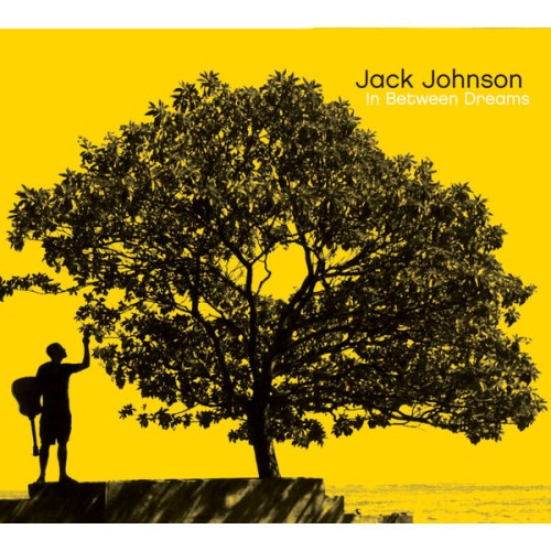 Jack Johnson – In Between Dreams (2005/2014) [FLAC 24 bit, 96 kHz]