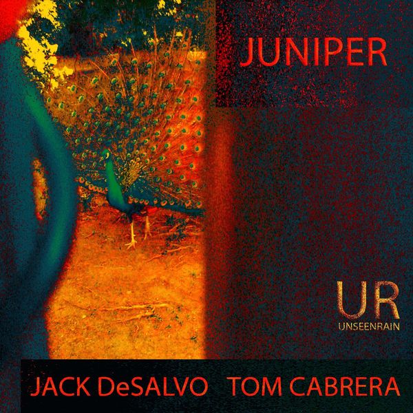 Jack DeSalvo, Tom Cabrera – Juniper (2014/2018) [Official Digital Download 24bit/88,2kHz]
