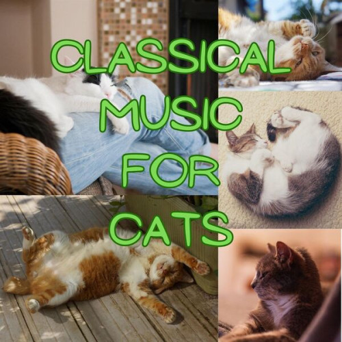 Various Artists – Classical Music for Cats (2023)  MP3 320kbps