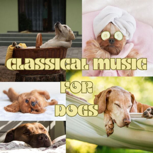 Various Artists – Classical Music for Dogs (2023)  MP3 320kbps