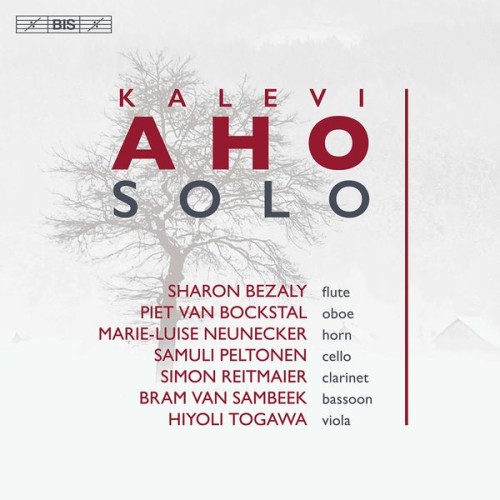 Various Artists – Kalevi Aho: Solo, Vol. 1 (2021) [FLAC 24 bit, 48 kHz]