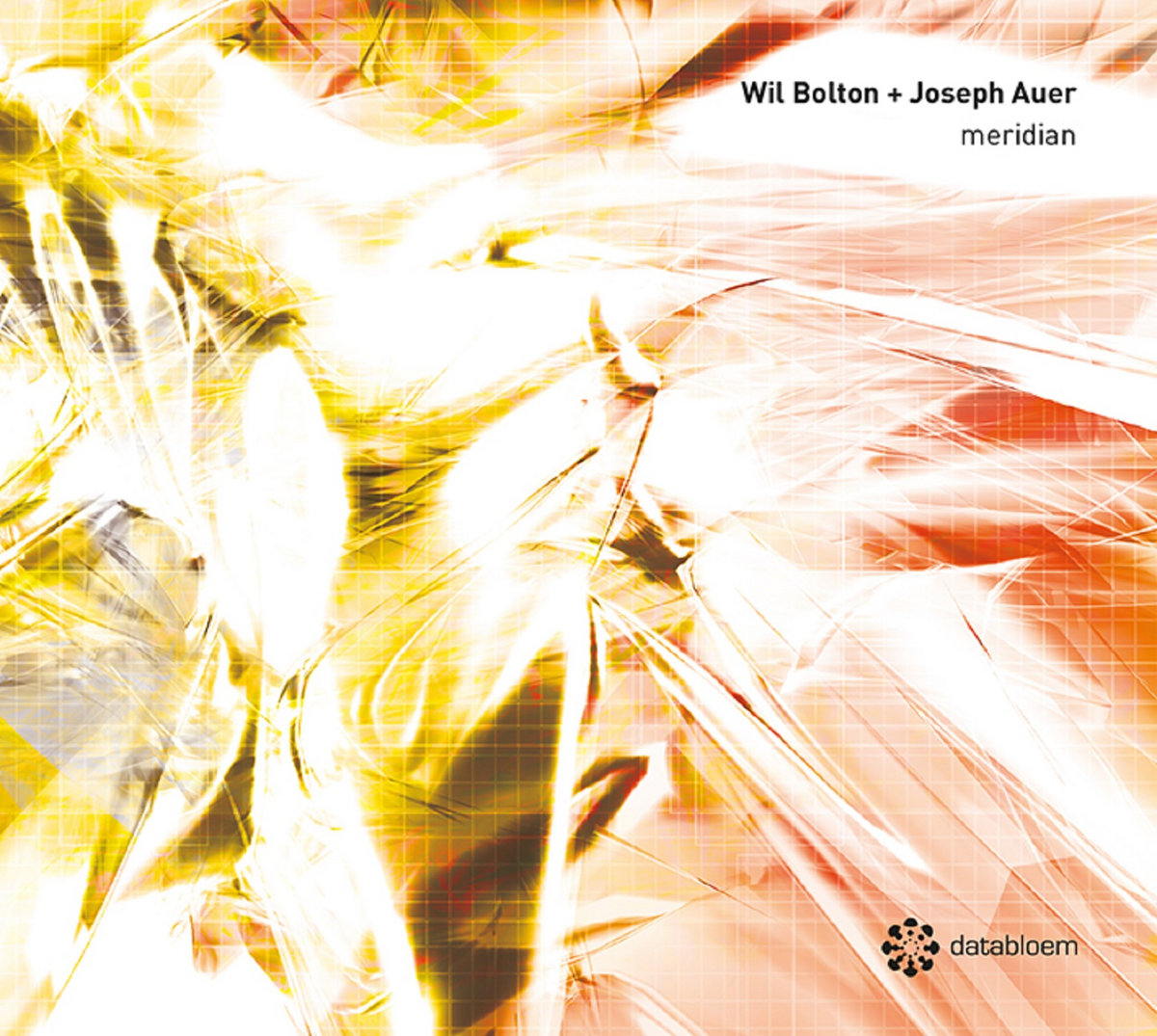 Wil Bolton + Joseph Auer – meridian (2019) [Official Digital Download 24bit/44,1kHz]