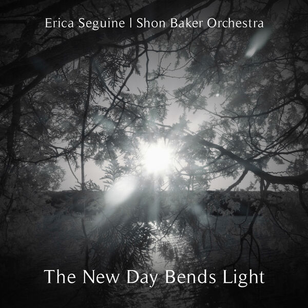 Erica Seguine, Shon Baker Orchestra - The New Day Bends Light (2023) [FLAC 24bit/96kHz] Download