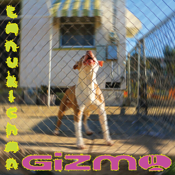 Tanukichan – GIZMO (2023) [Official Digital Download 24bit/96kHz]