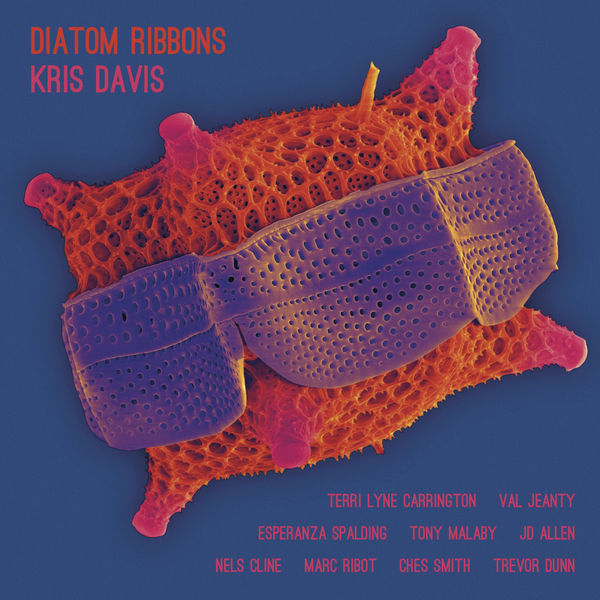 Kris Davis – Diatom Ribbons (2019) [Official Digital Download 24bit/96kHz]