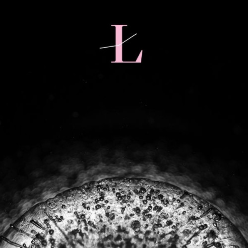 loscil – LUX Refractions (2021) [FLAC 24 bit, 48 kHz]