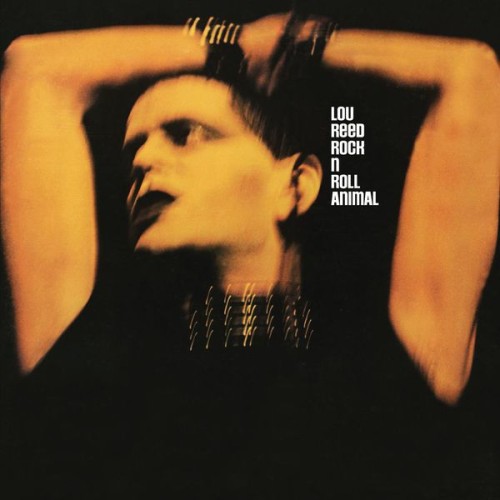 Lou Reed – Rock ‘n’ Roll Animal (Live) Remastered (1974/2021) [FLAC 24 bit, 96 kHz]
