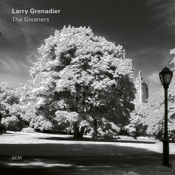 Larry Grenadier – The Gleaners (2019) [Official Digital Download 24bit/96kHz]