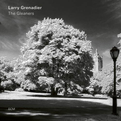 Larry Grenadier – The Gleaners (2019) [FLAC 24 bit, 96 kHz]