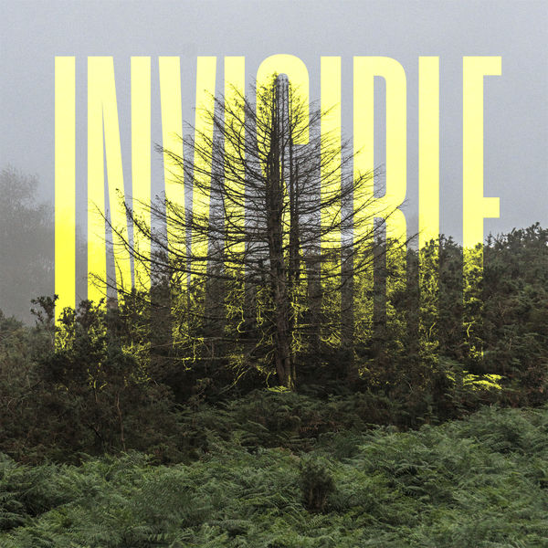 Ólafur Arnalds – The Invisible EP (2021) [Official Digital Download 24bit/96kHz]