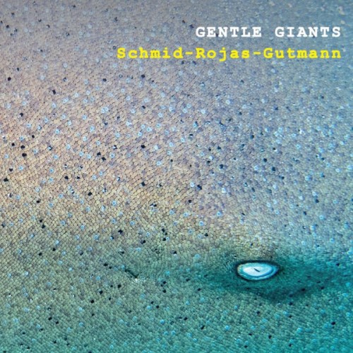 Peter A. Schmid, Jerry Rojas, Pit Gutmann – Gentle Giants (2023) [FLAC 24 bit, 96 kHz]